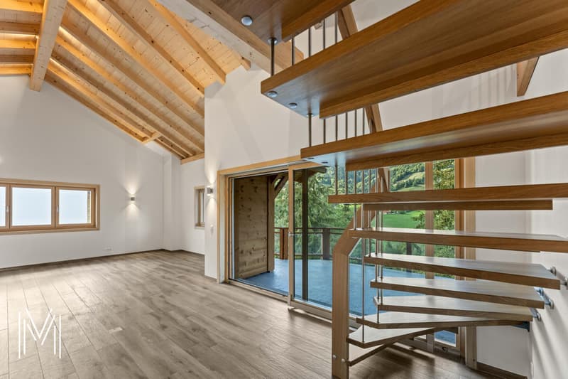 Superbe duplex dans une résidence de 2 logements (7)