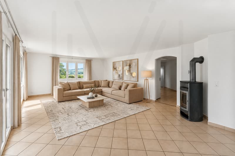 maison individuelle avec potentiel (3)