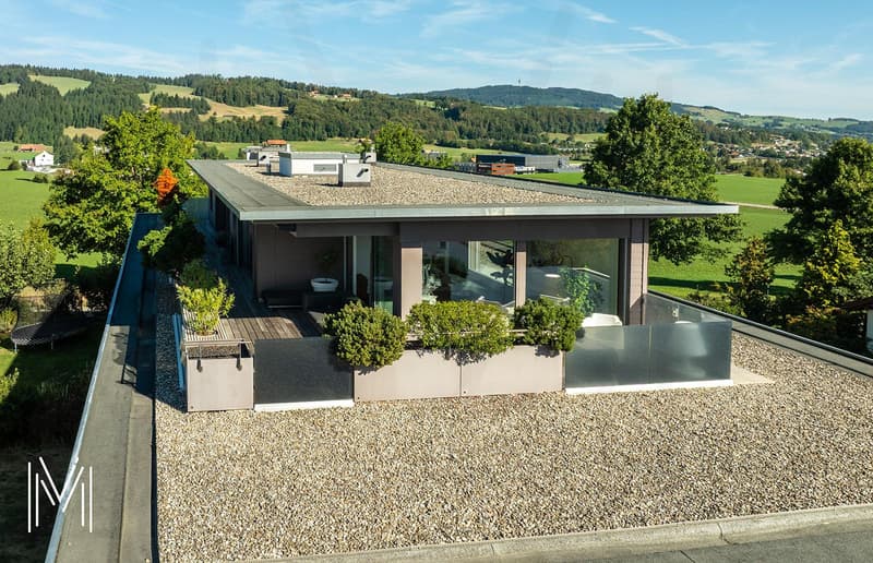 PENTHOUSE D'EXCEPTION DE 7,5 PIÈCES EN DUPLEX - Entre ciel et terre ? Vue panoramique à 360 au coeur de Bulle (10)