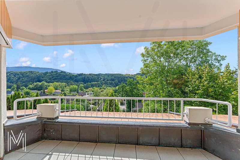 Superbe maison 6,5 pièces avec un dégagement et vue d'exception (12)