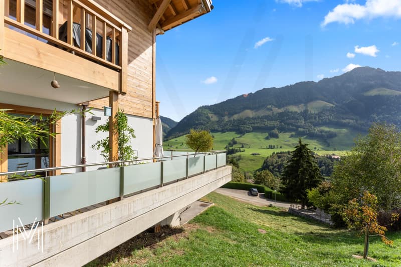 MAGNIFIQUE APPARTEMENT DE 4,5 PIECES AVEC MAGNIFIQUE VUE (3)