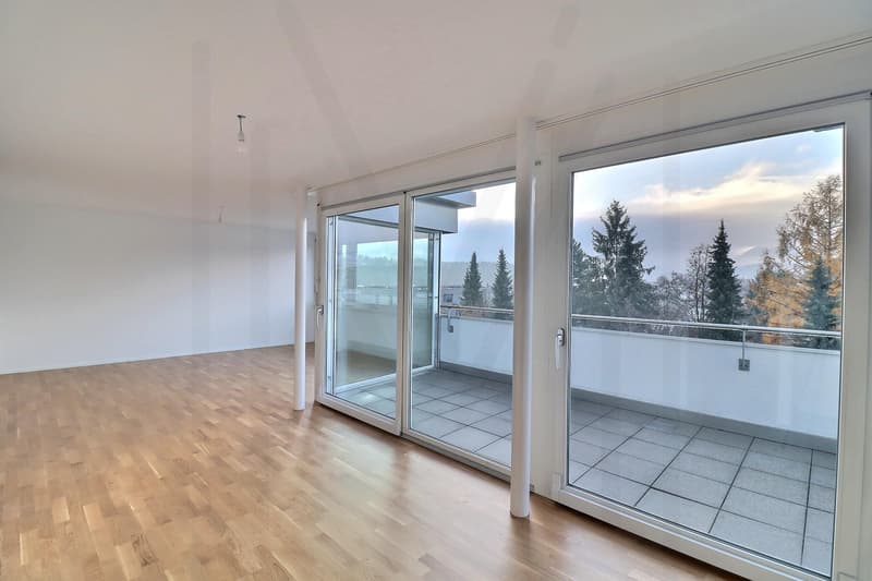 Somptueux attique de 4.5 pièces rénové avec vue imprenable sur le Moléson et la ville de Bulle ! (12)