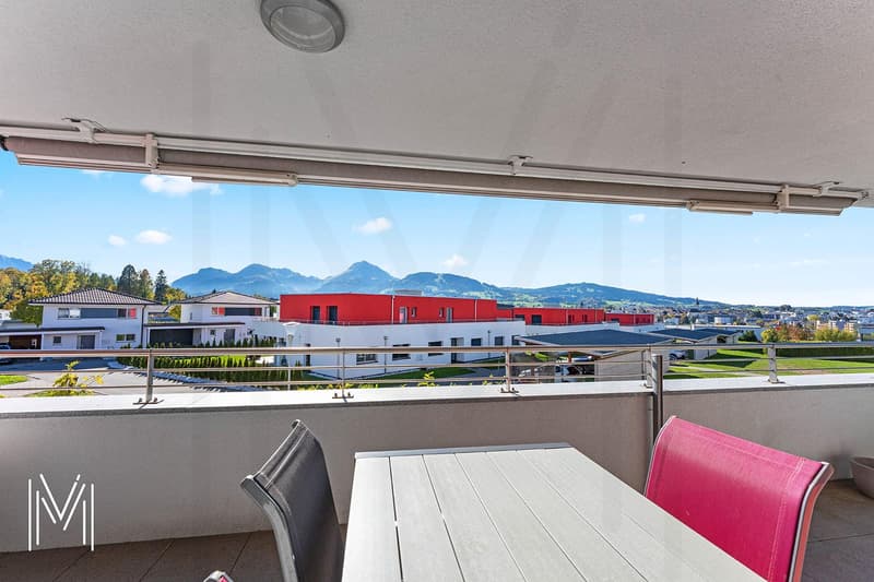 appartement 4.5 pièces ultra lumineux avec vue remarquable ! (1)