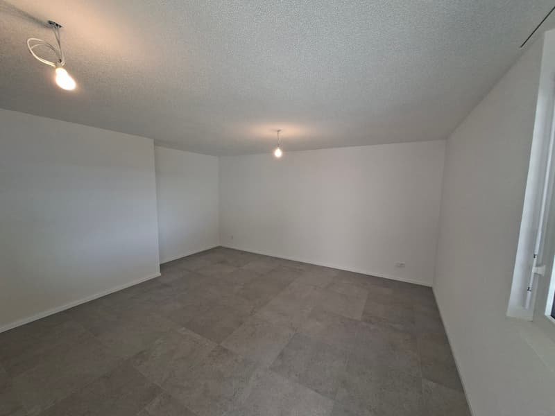 Villa 4,5 pièces de 115 m2 neuve avec studio de 35 m2 (10)
