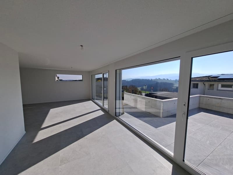 Villa 4,5 pièces de 115 m2 neuve avec studio de 35 m2 (2)