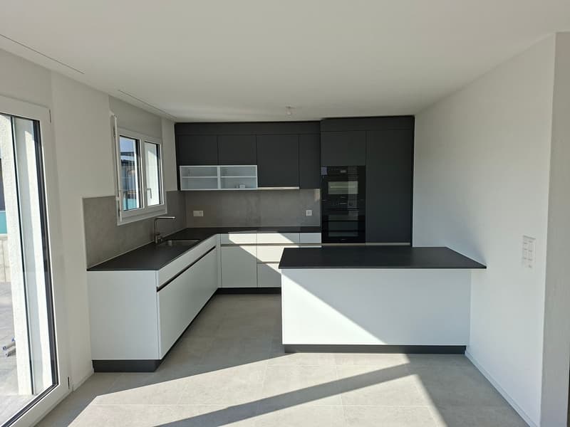 Villa 4,5 pièces de 115 m2 neuve avec studio de 35 m2 (1)