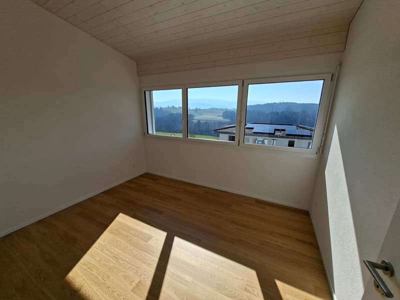 Villa 4,5 pièces de 115 m2 neuve avec studio de 35 m2 (7)