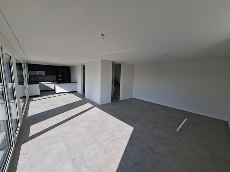 Villa 4,5 pièces de 115 m2 neuve avec studio de 35 m2 (3)