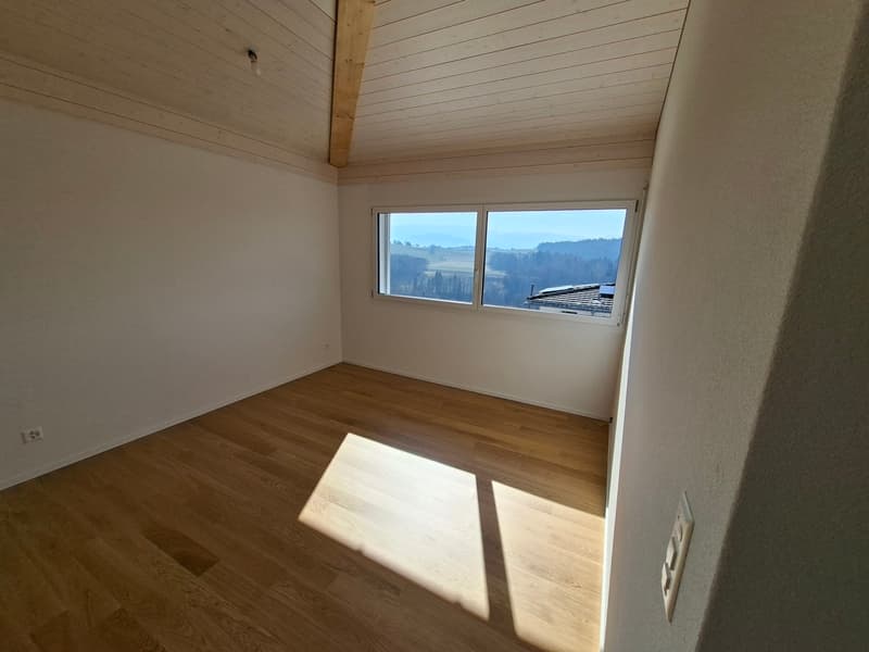 Villa 4,5 pièces de 115 m2 neuve avec studio de 35 m2 (5)