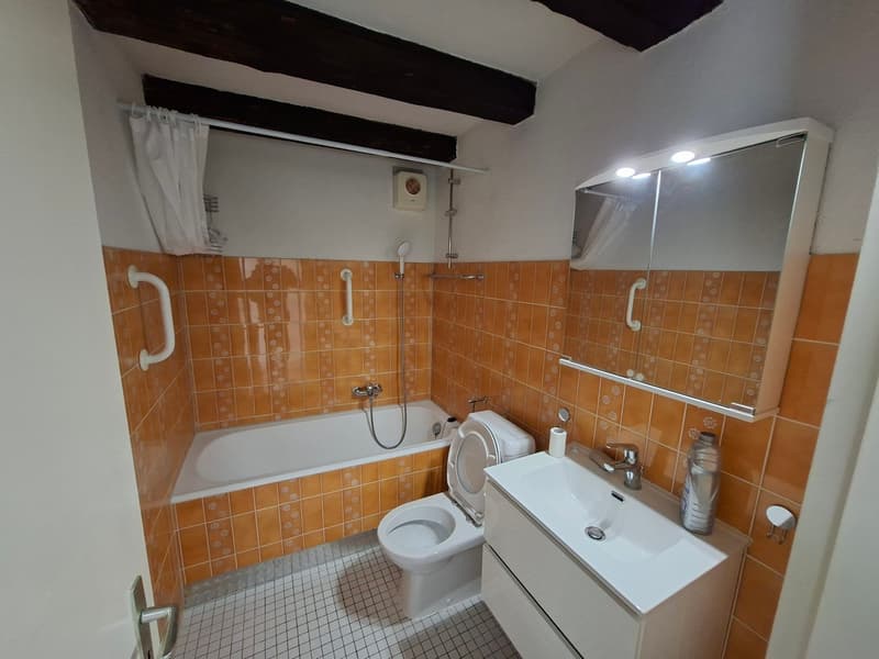 Appartement 3,5 pièces avec vue imprenable dans la vieille ville (2)