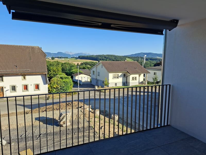 Appartement 4,5 pièces dans un immeuble neuf à deux pas de la gare (9)