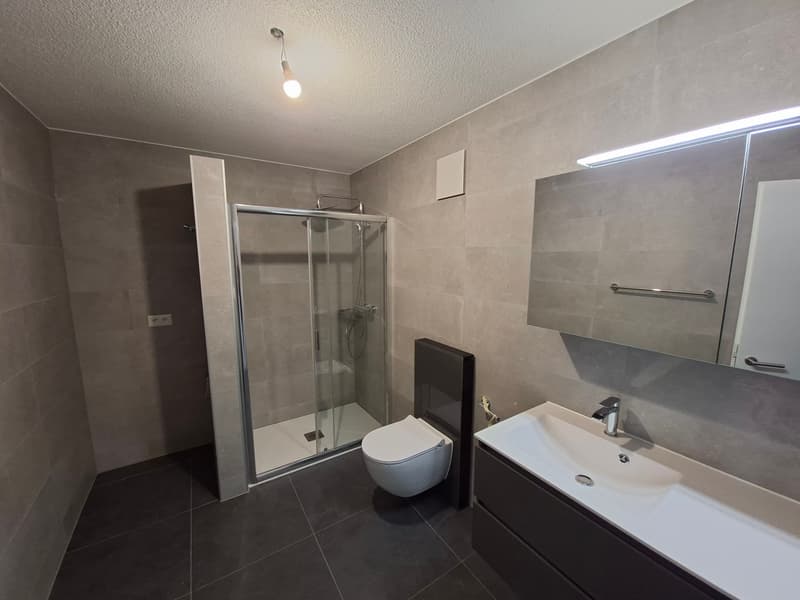 Appartement de 2,5 pièces à deux pas de la gare (5)