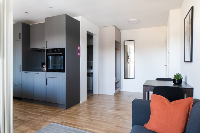 1.5 Zimmerwohnung - modernes Studio mitten in Basel (6)