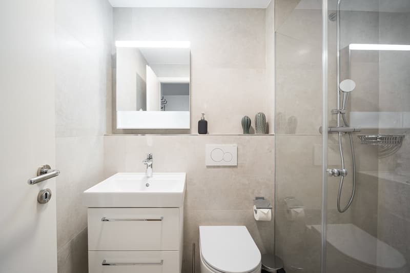 Modern bathroom with white vanity, sink, and toilet. Glass shower enclosure, beige tile walls, and decorative accents such as a mirror and small cacti.