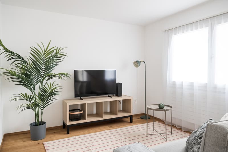 Spacious living room with white walls, large windows, and a wooden TV stand. The room features a potted palm tree, a floor lamp, and a striped area rug. The TV is mounted on the wooden stand, which has open shelves for storage.