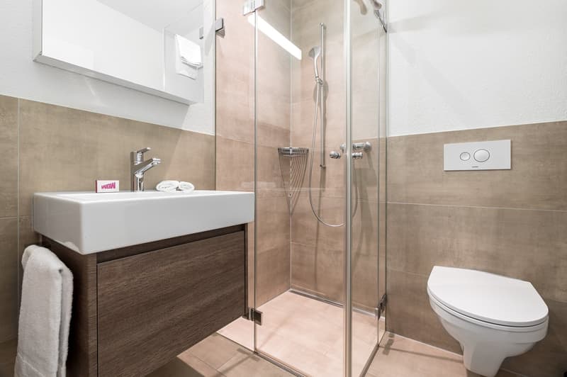 shower stall with glass door, white sink, white toilet, white towel, modern design
