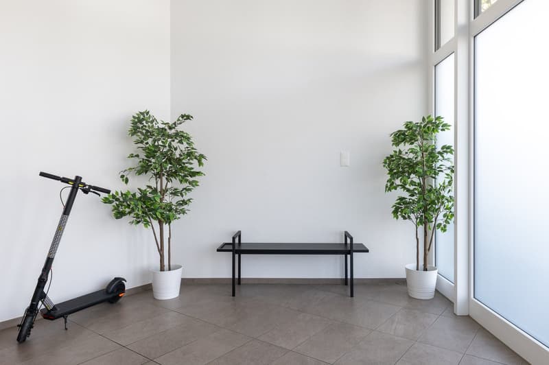 Empty room with white walls, tiled floor, black bench, and two potted plants. There is also a black scooter and white power outlet on wall.