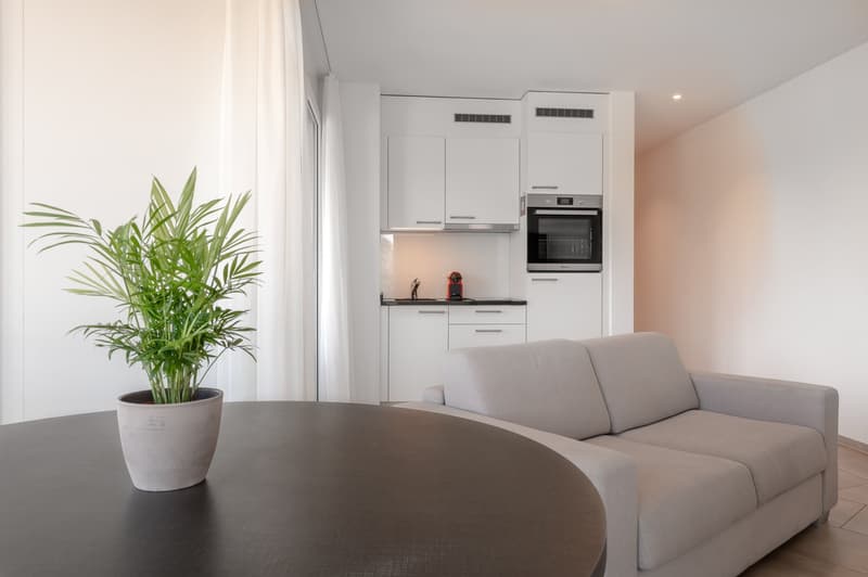 living room, white cabinets, kitchen, microwave, modern decor, light colors