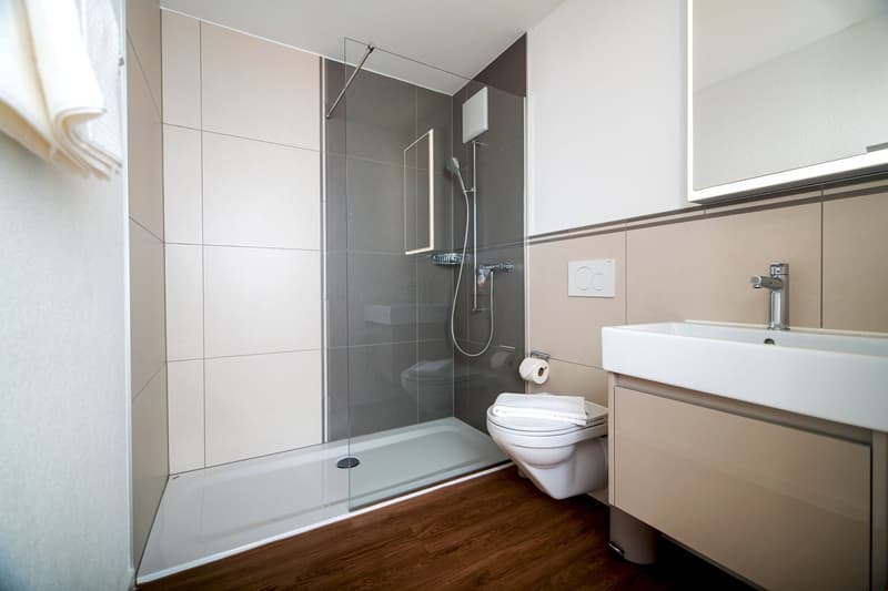 White tiled walls, glass walk-in shower, toilet, sink, mirror, wooden floor, towel rack