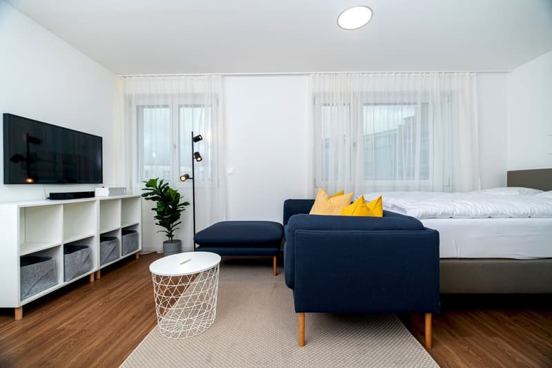 A living room with a bed, sofa, TV, shelf, lamp, and plant