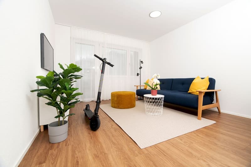 Living room: hardwood floors, mounted TV, couch, small side table, scooter, carpet, plant
