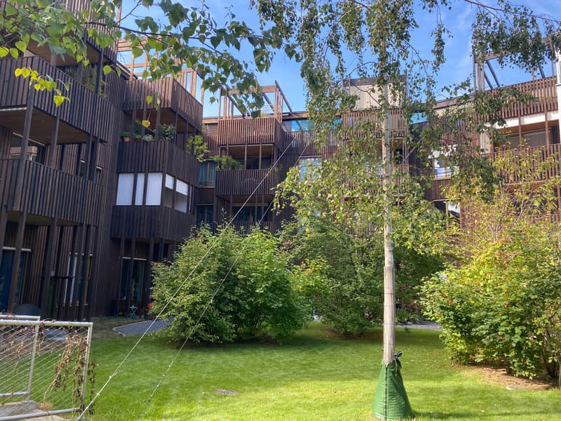 2-Zimmer-Wohnung mit Gartensitzplatz an zentraler Lage in Basel (12)