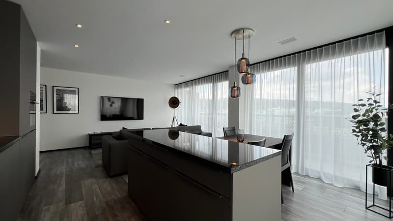 Möbliertes modernes 2.5-Zimmer-Apartment mit Balkon in Zürich (3)