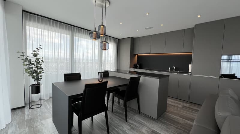 Möbliertes modernes 2.5-Zimmer-Apartment mit Balkon in Zürich (2)