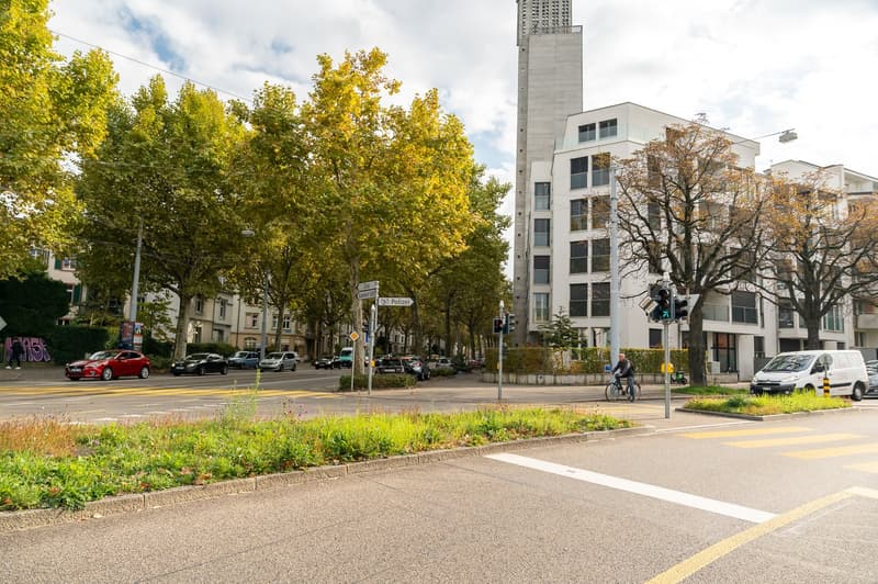 Stilvolle 3.5-Zimmerwohnung mit Balkon nähe Kannenfeldpark (12)