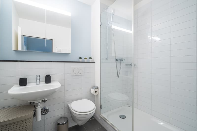 Stilvolle 3.5-Zimmerwohnung mit Balkon nähe Kannenfeldpark (9)