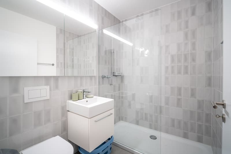 Appartement meublé 2.5 pièces moderne près de la gare principale de Zurich (10)
