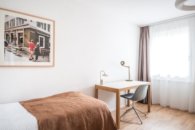 NEW WOW! 3min zum HB - möblierte 2.5-Zimmer-Wohnung 56m2 (15)