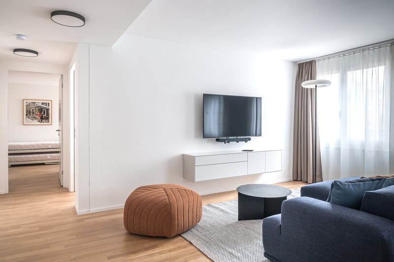 NEW WOW! 3min zum HB - möblierte 2.5-Zimmer-Wohnung 56m2 (12)