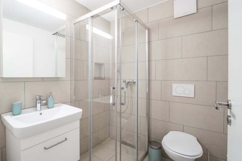 modern bathroom with glass shower, white sink, mirror, toilet, trash can