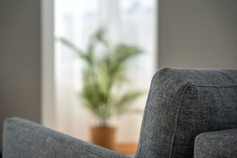 Close up of a gray sofa, with a potted plant in the background
