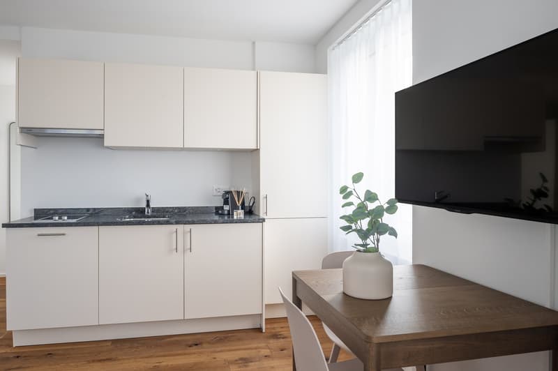 modern kitchen with white cabinets, granite countertop, sink, faucet, coffee machine, TV, dining table, chairs, potted plant