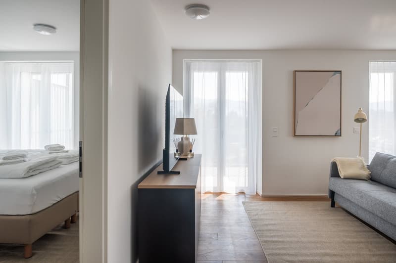 NEU! - Möbilierte 2.5 Zimmerwohnung in Zürich (13)