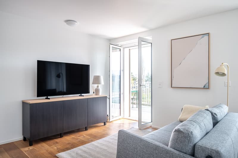 NEU! - Möbilierte 2.5 Zimmerwohnung in Zürich (12)