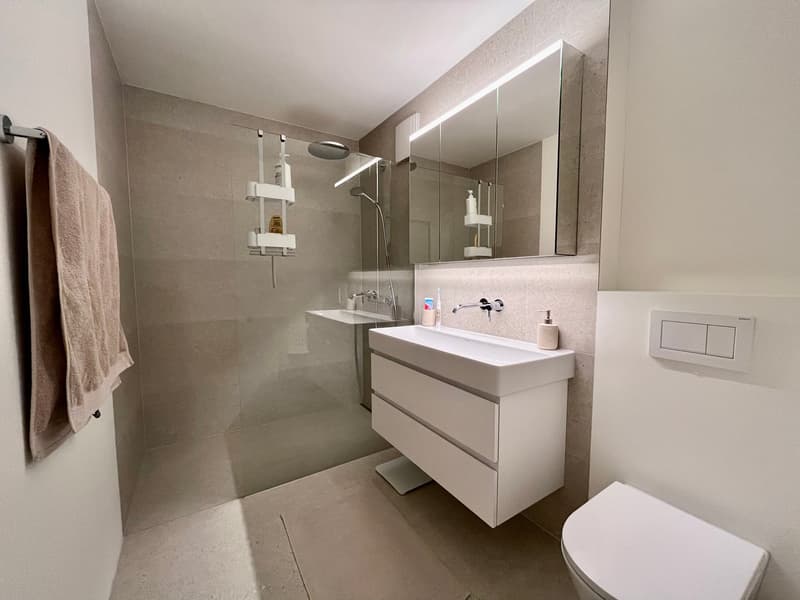 3.5-Zimmer-Wohnung an bester Lage im Kanton Zug (8)
