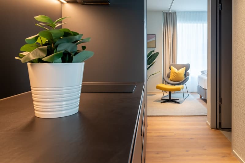 1.5 Zimmerwohnung - mitten in Zug inkl. E-Scooter (3)
