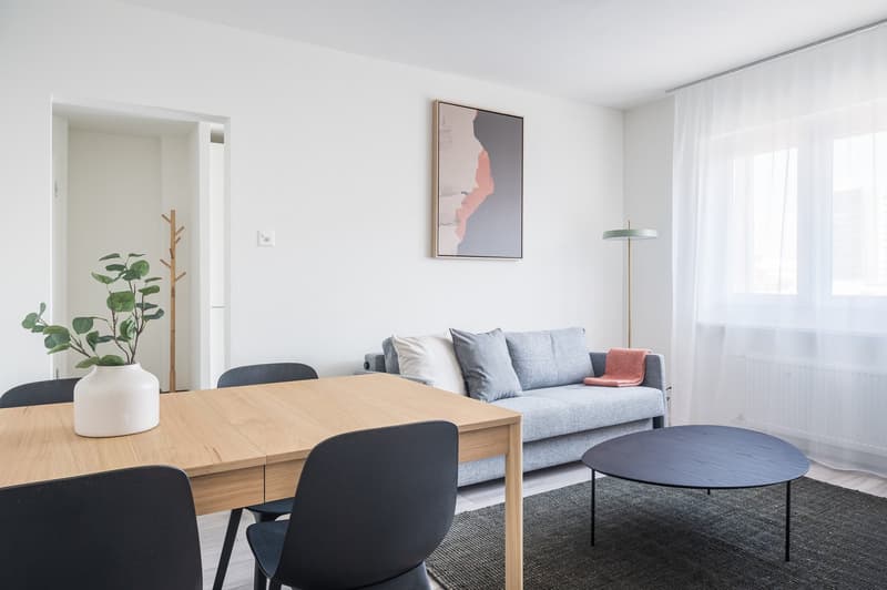 Modern, hell und zentral – Neue 2.5-Zimmer-Wohnung in Basel (8)