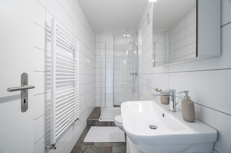 Modern, hell und zentral – Neue 2.5-Zimmer-Wohnung in Basel (15)