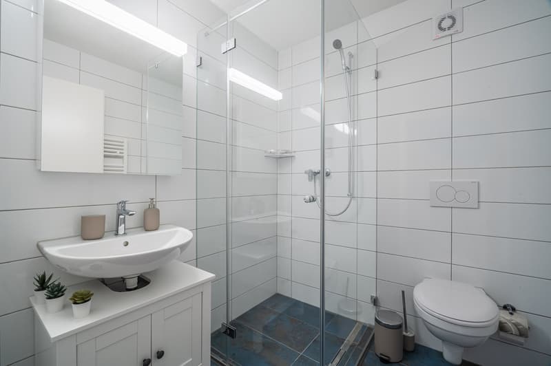 2min zum HB - möblierte 2.5 Zimmerwohnung (9)