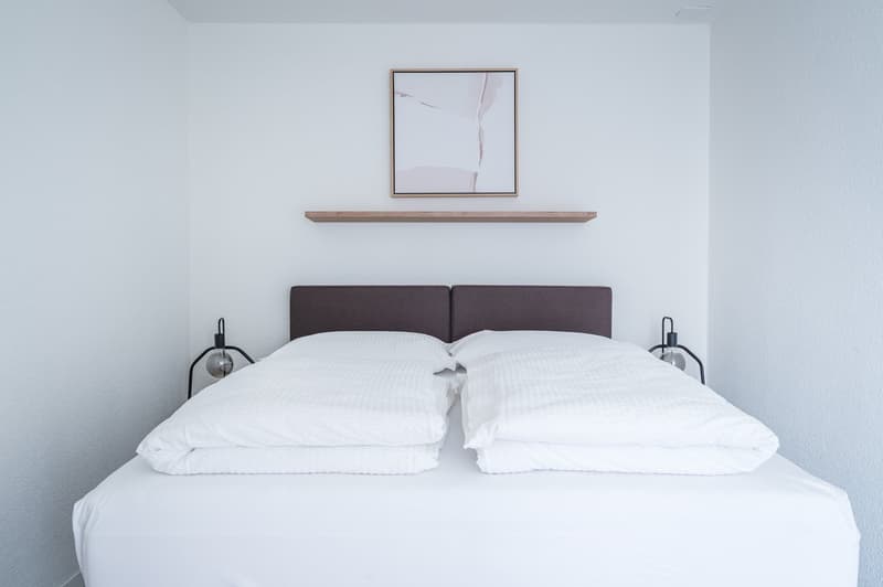 2min zum HB - möblierte 2.5 Zimmerwohnung (8)
