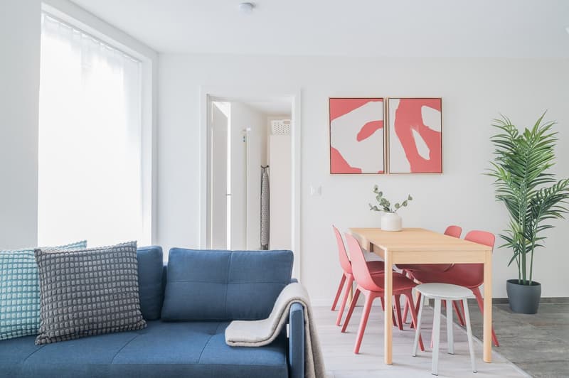 2min zum HB - möblierte 2.5 Zimmerwohnung (4)