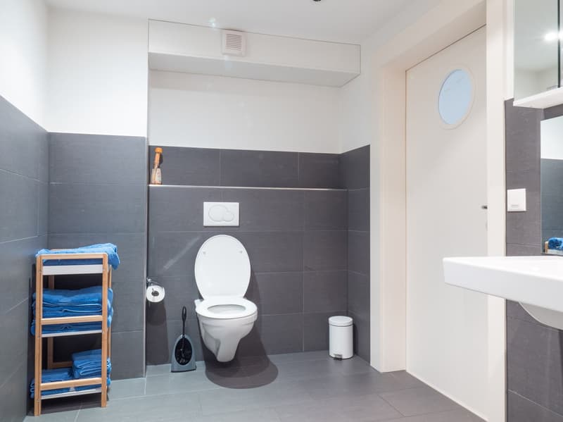 Möblierte 3.5-Zimmer-Wohnung im Erdgeschoss in Hünenberg (9)