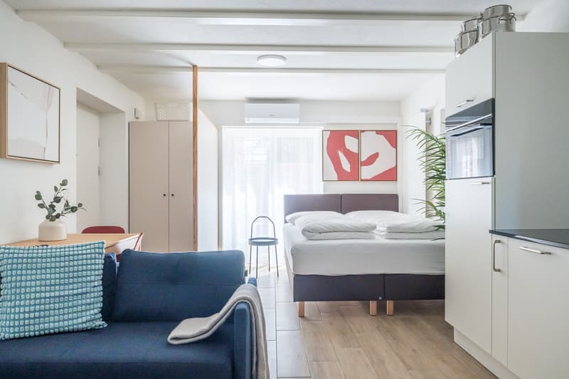 2min zum HB - möblierte 1.5 Zimmerwohnung mit privater Terrasse (1)