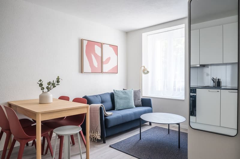 2min zum HB - möblierte 2.5 Zimmerwohnung (4)