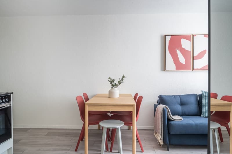 2min zum HB - möblierte 2.5 Zimmerwohnung (5)