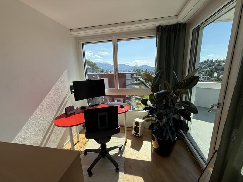 BEFRISTET: 15.07.2026 - 31.12.2026: Möblierte 4.5-Zimmer-Wohnung mit Dachterrasse und Seesicht (13)